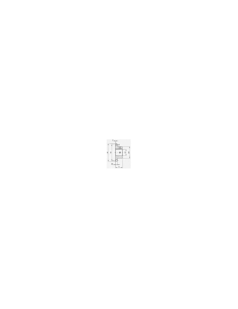 Pignon 15.8 simple 12 dents ref: pig10b1/12 Pignon 15.8 simple 12 dents ref: pig10b1/12