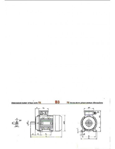 Moteur électrique triphasé...