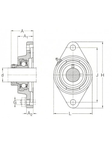 Palier applique fonte 2 trous RCJTY30 INA  ref: RCJTY30