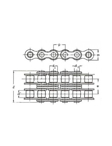 Chaine a rouleaux double 31.75  20b2  SRC (boîte 5m) ref: chn20b2